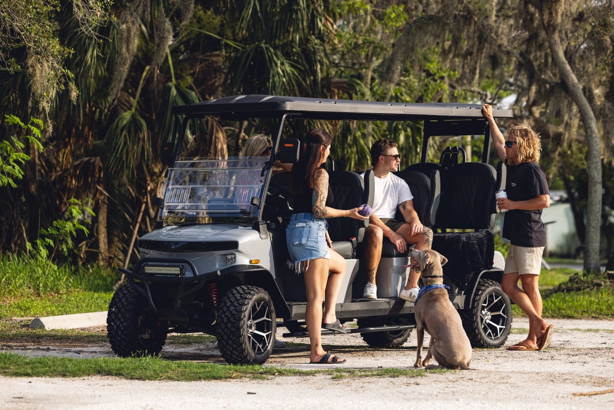Neighborhood, Resort, and Campus Travel