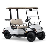 Yamaha Drive2 PTV