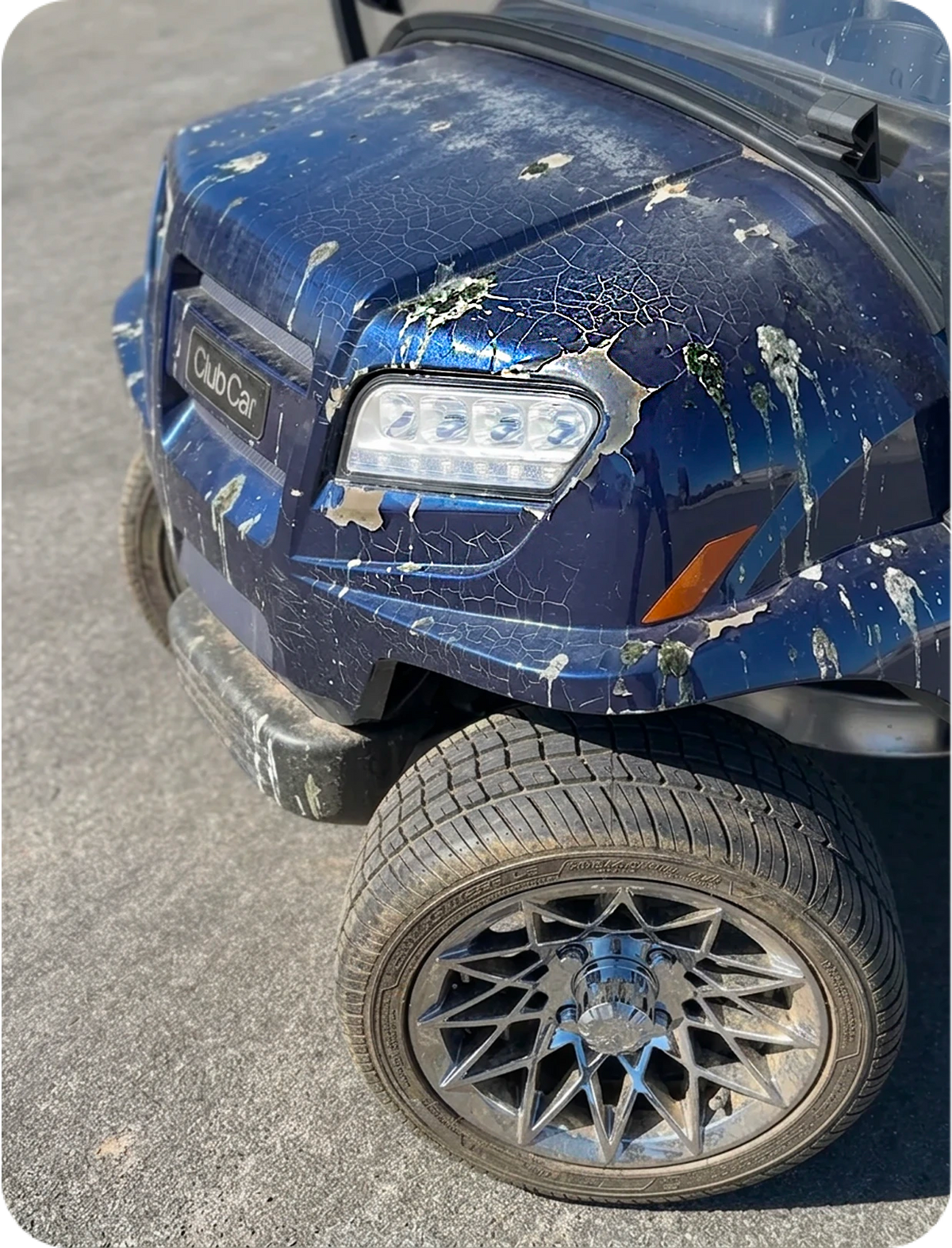 Paint Protection