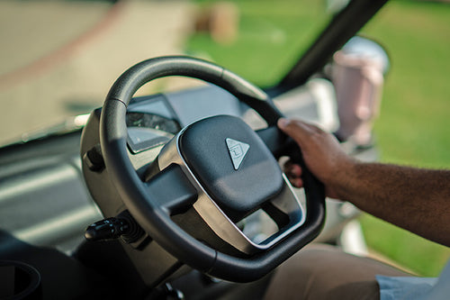 Electronic Power Steering