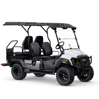 Yamaha UMAX Rally 2+2